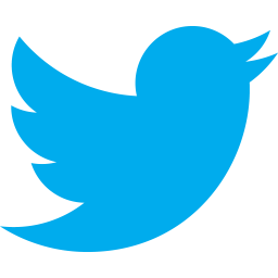 Iconmonstr-twitter-icon-256