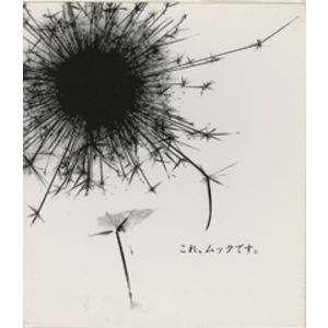 4172680-%e6%b0%b4%e6%a7%bd