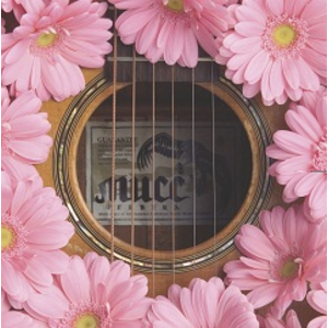 4172813-%e3%82%ac%e3%83%bc%e3%83%99%e3%83%a9_%e5%88%9d%e5%9b%9e