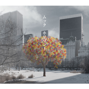 4172863-%e3%83%9b%e3%83%aa%e3%82%be%e3%83%b3%e3%83%88_%e9%80%9a%e5%b8%b8