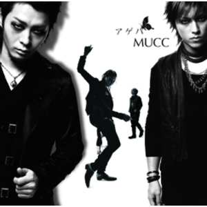 4172895-%e3%82%a2%e3%82%b2%e3%83%8f_%e5%88%9d%e5%9b%9e