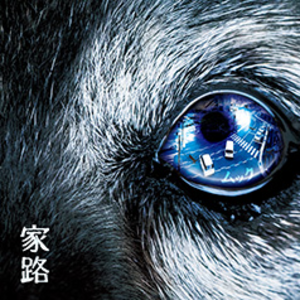 4173035-%e5%ae%b6%e8%b7%af