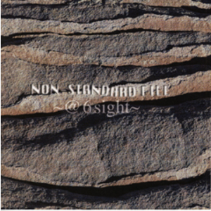 4178532-non_standard_file%ef%bd%9e_6sight%ef%bd%9e