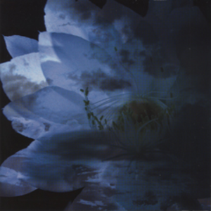 4178572-luna_sea_memorial_cover_album_-rebirth-