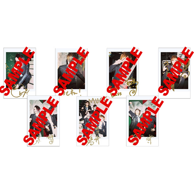 4219968-2016900_500pz