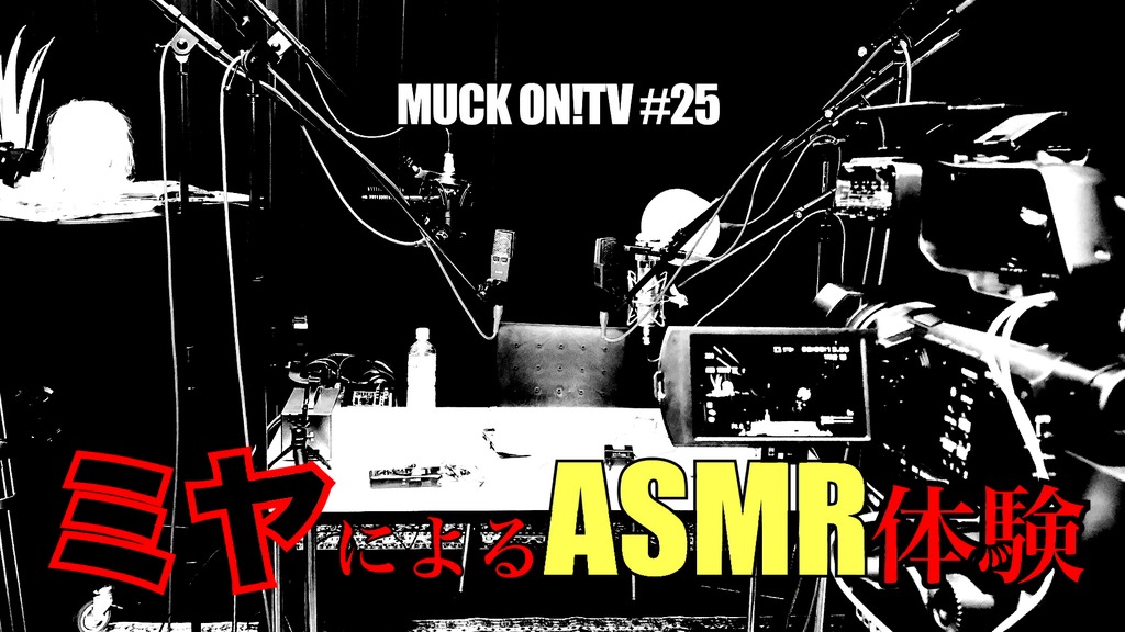 4544963-muck_on_25_samune