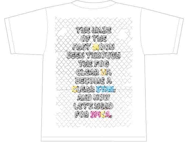 4548203-07.314693-tee_wt_back