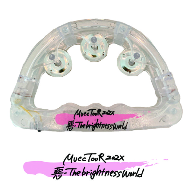 4561796-minitambourine