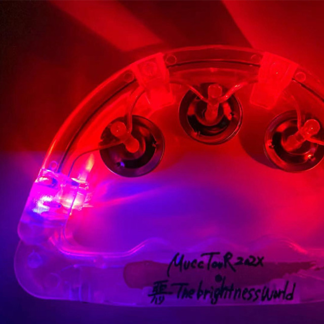 4561801-minitambourine2