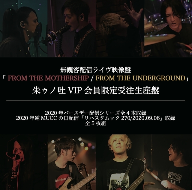 4564933-4562467-1613725530972_2x